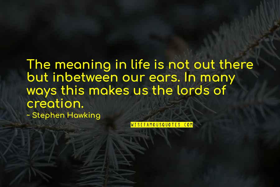 Bersalah Quotes By Stephen Hawking: The meaning in life is not out there