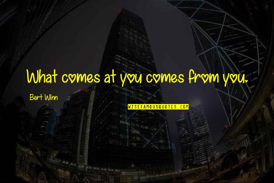 Bert Quotes By Bert Winn: What comes at you comes from you.