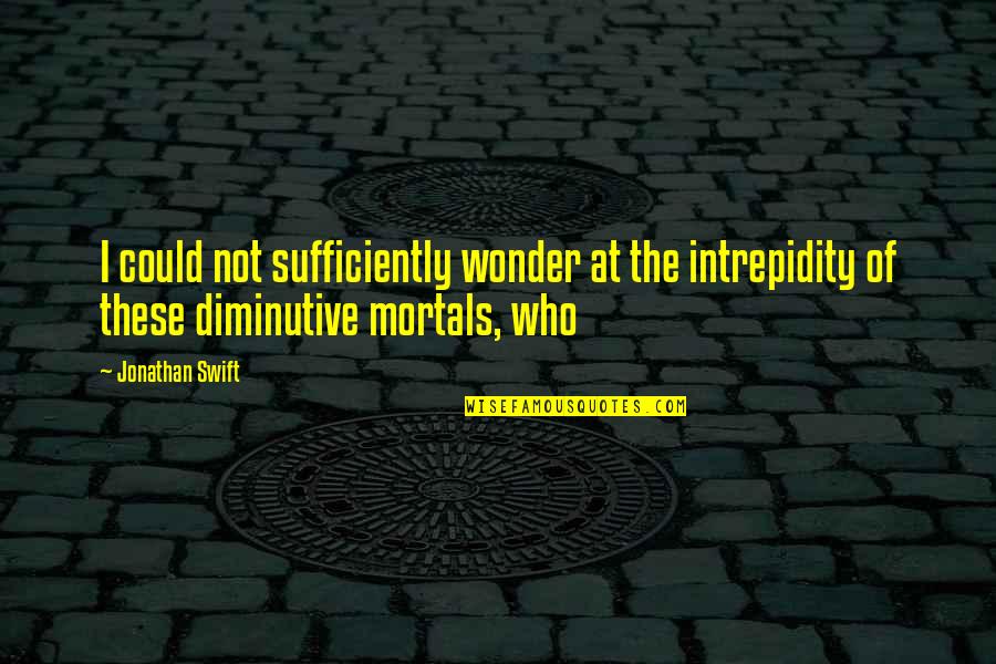 Bertemunya Sel Quotes By Jonathan Swift: I could not sufficiently wonder at the intrepidity