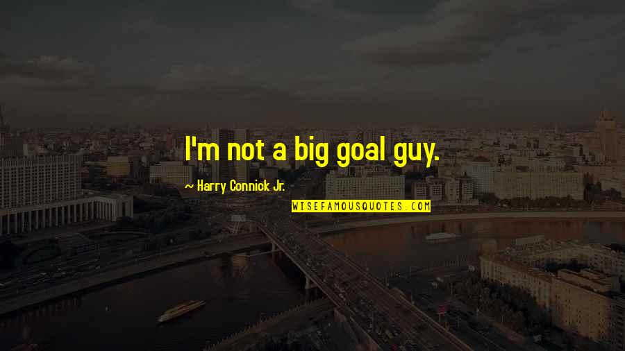 Bertha Dorset Quotes By Harry Connick Jr.: I'm not a big goal guy. Bertha Dorset Quotes By Harry Connick Jr.: I'm not a big goal guy.