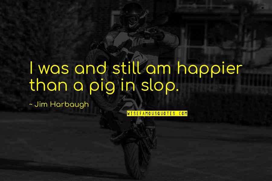 Bertha Mason Animal Quotes By Jim Harbaugh: I was and still am happier than a