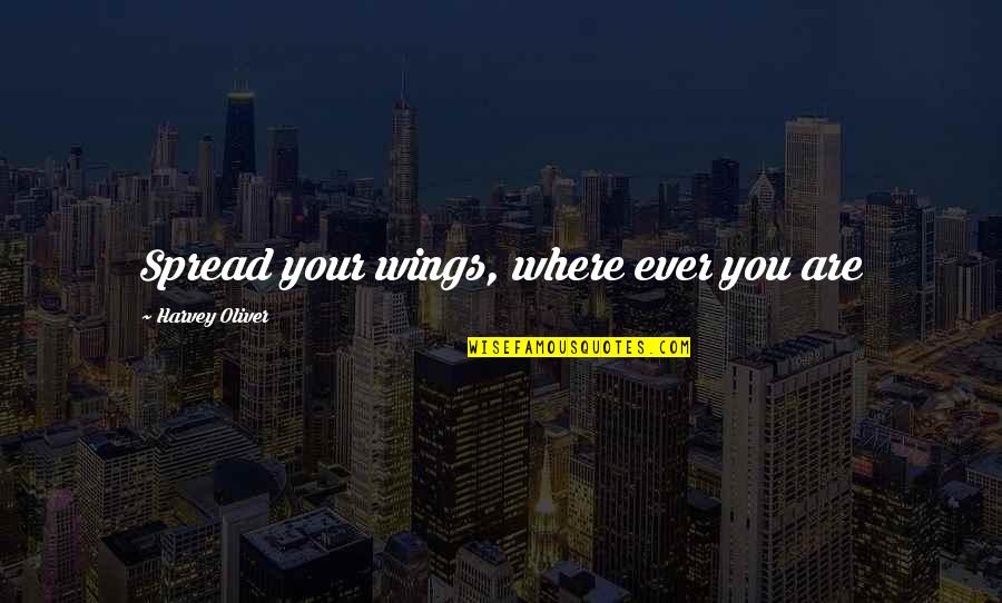 Bertha Munro Quotes By Harvey Oliver: Spread your wings, where ever you are Bertha Munro Quotes By Harvey Oliver: Spread your wings, where ever you are