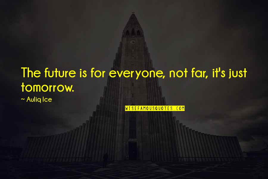 Berthelsen Quotes By Auliq Ice: The future is for everyone, not far, it's