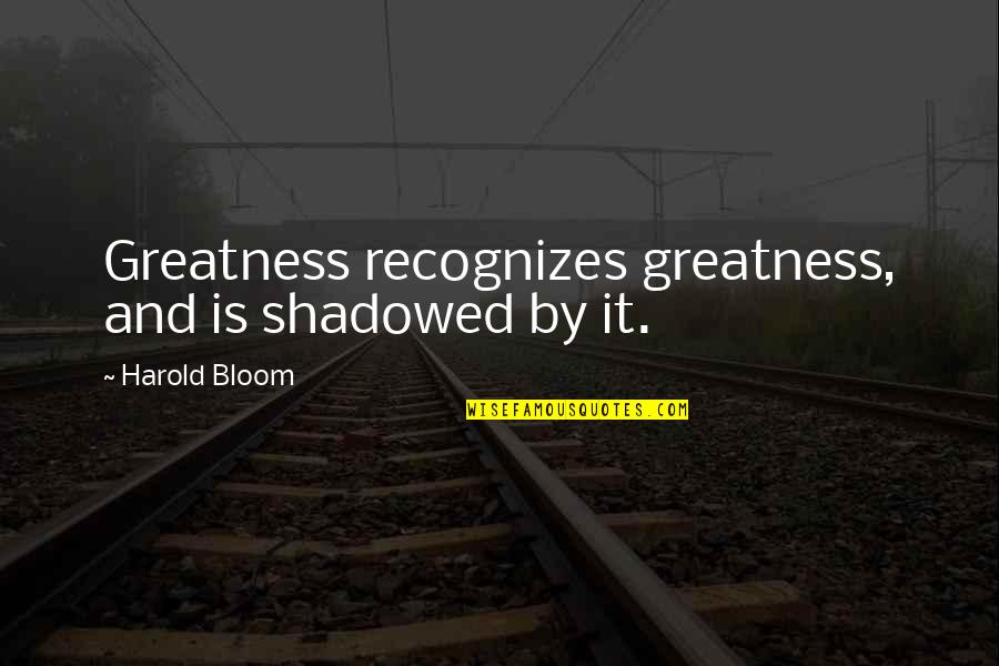 Bertholdt Fubar Quotes By Harold Bloom: Greatness recognizes greatness, and is shadowed by it.