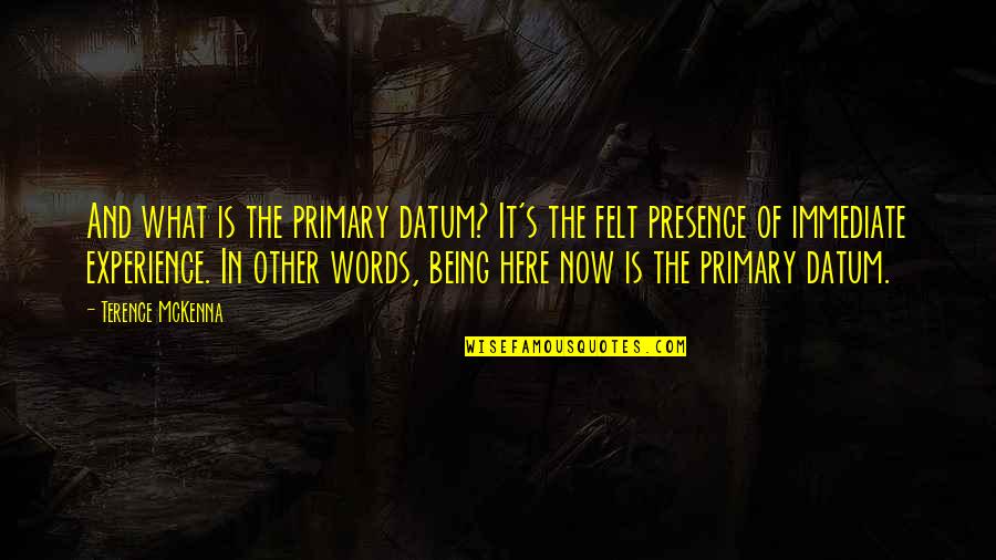 Berthollet Quotes By Terence McKenna: And what is the primary datum? It's the