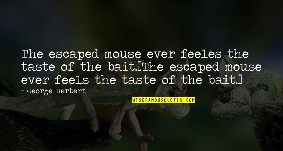 Bertolini Church Quotes By George Herbert: The escaped mouse ever feeles the taste of