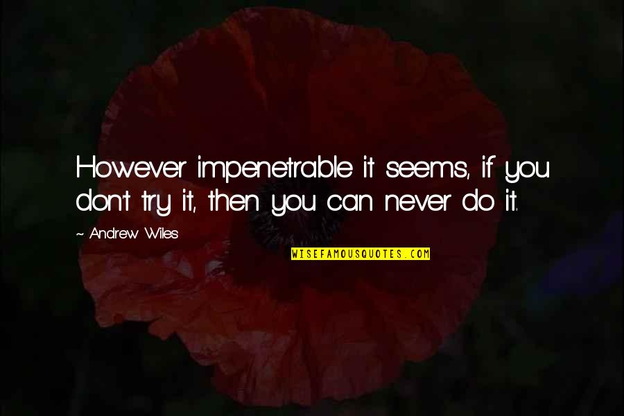 Bertolli Pasta Quotes By Andrew Wiles: However impenetrable it seems, if you don't try