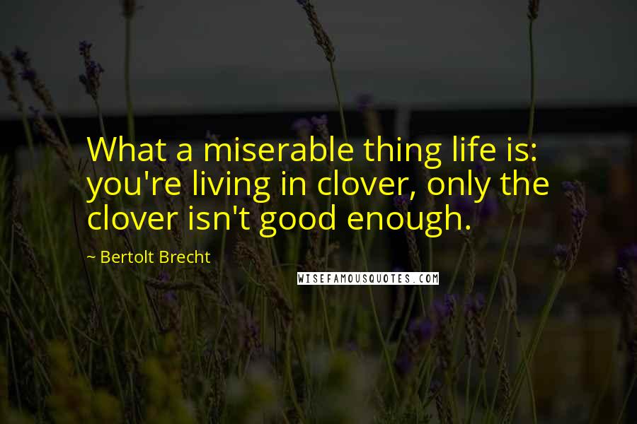 Bertolt Brecht quotes: What a miserable thing life is: you're living in clover, only the clover isn't good enough.