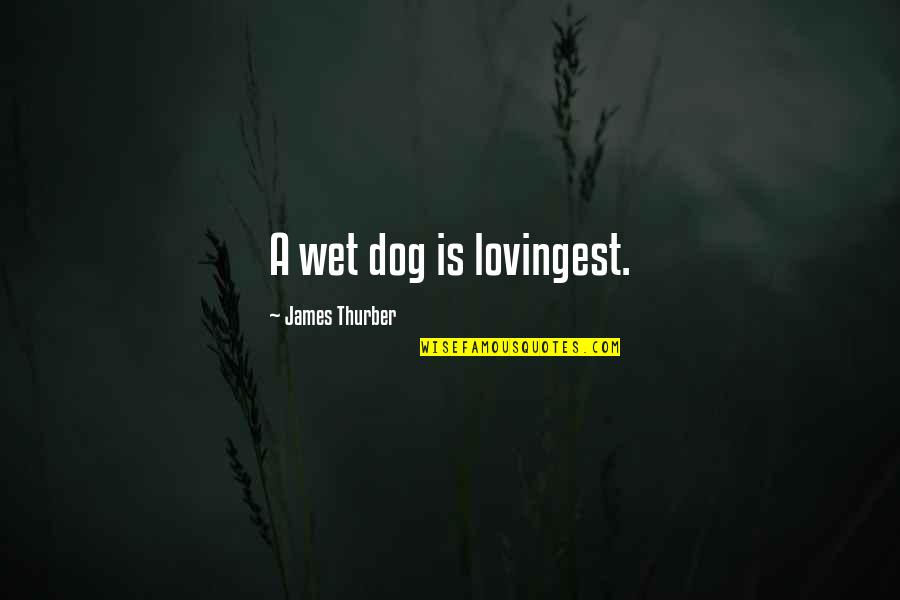 Bertuzzi Quotes By James Thurber: A wet dog is lovingest.