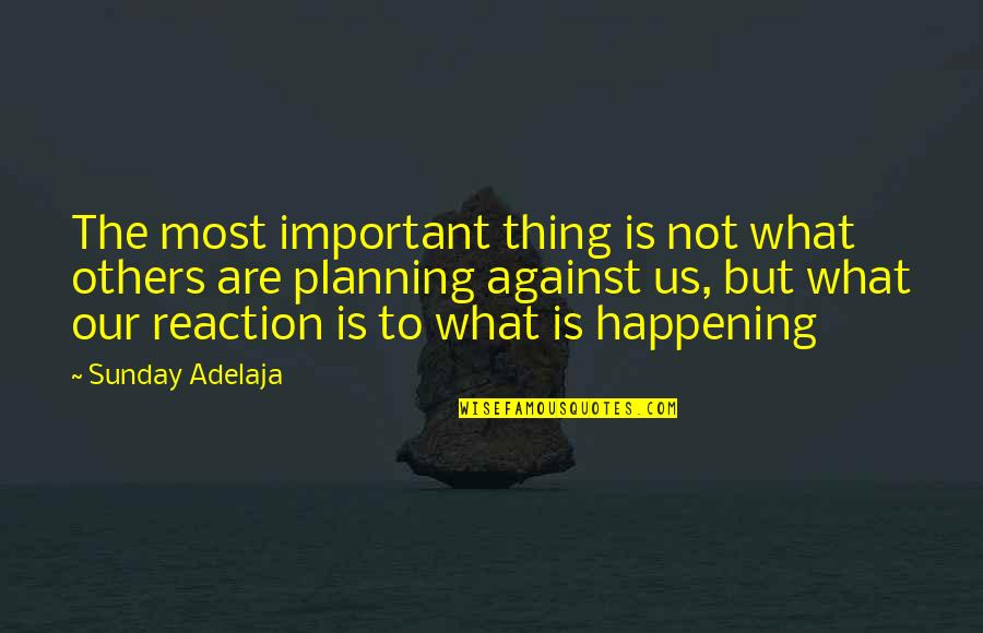 Beruk Mentawai Quotes By Sunday Adelaja: The most important thing is not what others