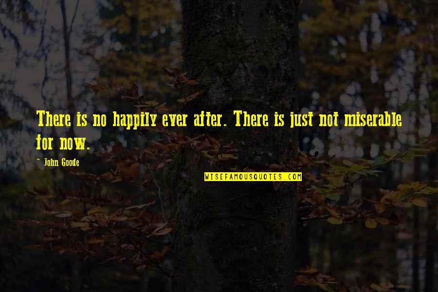 Beruntung Sekali Quotes By John Goode: There is no happily ever after. There is