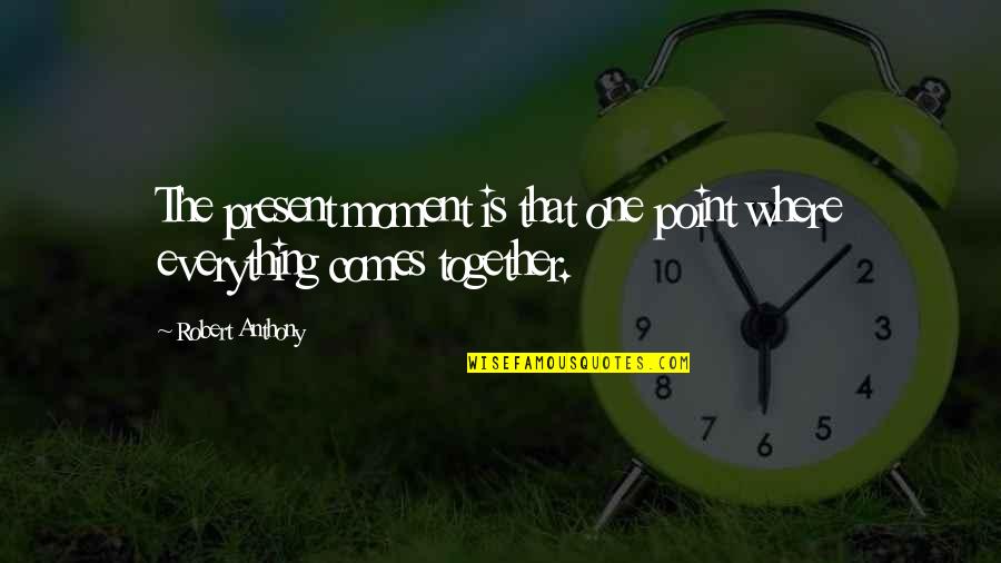 Berzins Delahay Quotes By Robert Anthony: The present moment is that one point where