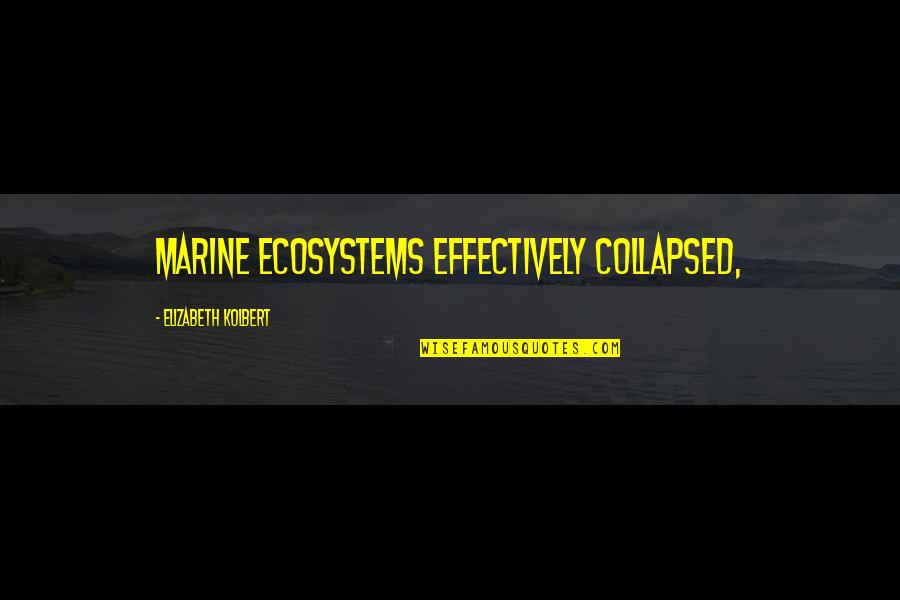 Besar In English Quotes By Elizabeth Kolbert: Marine ecosystems effectively collapsed, Besar In English Quotes By Elizabeth Kolbert: Marine ecosystems effectively collapsed,