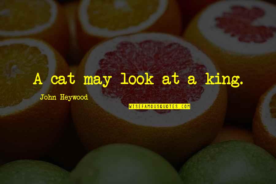 Besarion Tediashvili Quotes By John Heywood: A cat may look at a king. Besarion Tediashvili Quotes By John Heywood: A cat may look at a king.