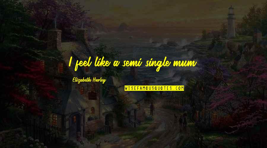 Besart Hoxha Quotes By Elizabeth Hurley: I feel like a semi-single mum. Besart Hoxha Quotes By Elizabeth Hurley: I feel like a semi-single mum.