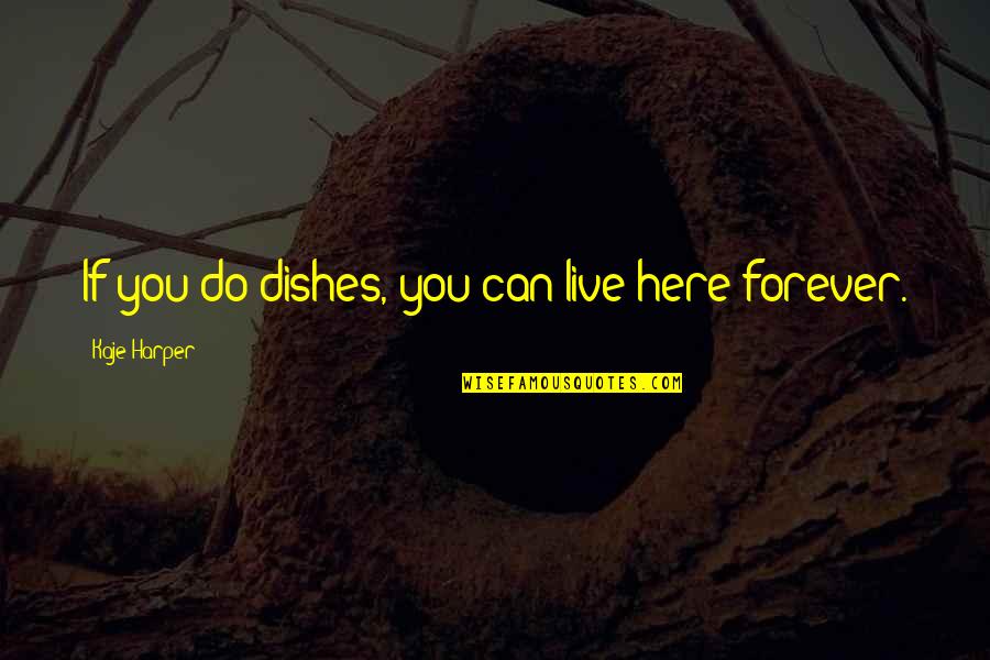 Beschrijving Druif Quotes By Kaje Harper: If you do dishes, you can live here