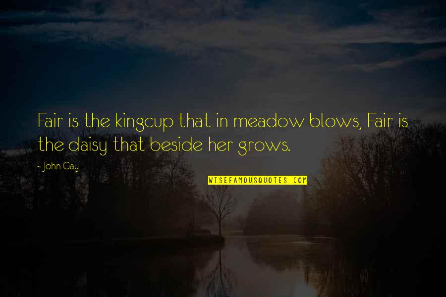 Beside Her Quotes By John Gay: Fair is the kingcup that in meadow blows,