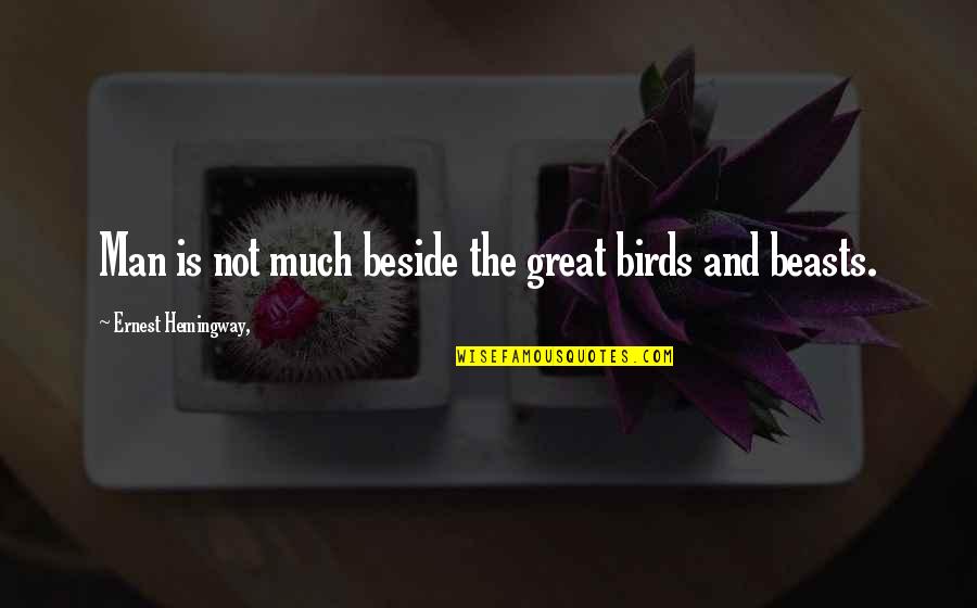 Beside Quotes By Ernest Hemingway,: Man is not much beside the great birds