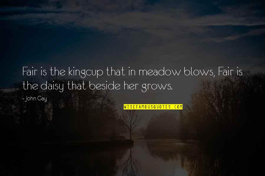 Beside Quotes By John Gay: Fair is the kingcup that in meadow blows,