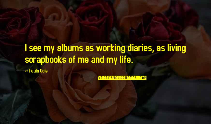 Besmirches Synonyms Quotes By Paula Cole: I see my albums as working diaries, as