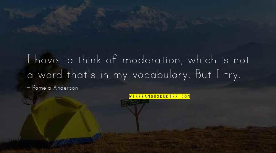 Besmirching Crossword Quotes By Pamela Anderson: I have to think of moderation, which is