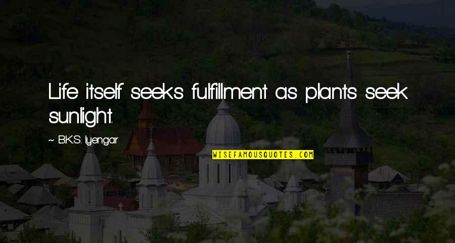 Bessler Stairs Quotes By B.K.S. Iyengar: Life itself seeks fulfillment as plants seek sunlight.