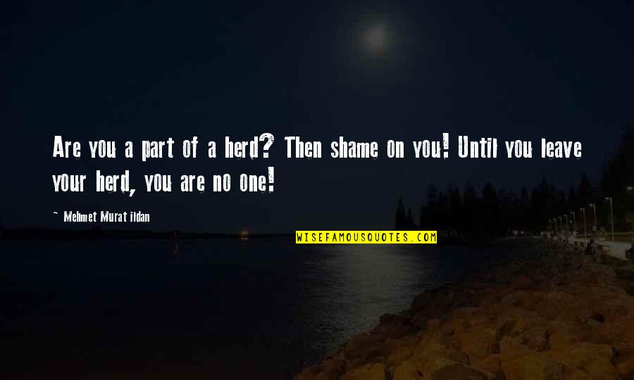 Best 40 Year Old Virgin Quotes By Mehmet Murat Ildan: Are you a part of a herd? Then