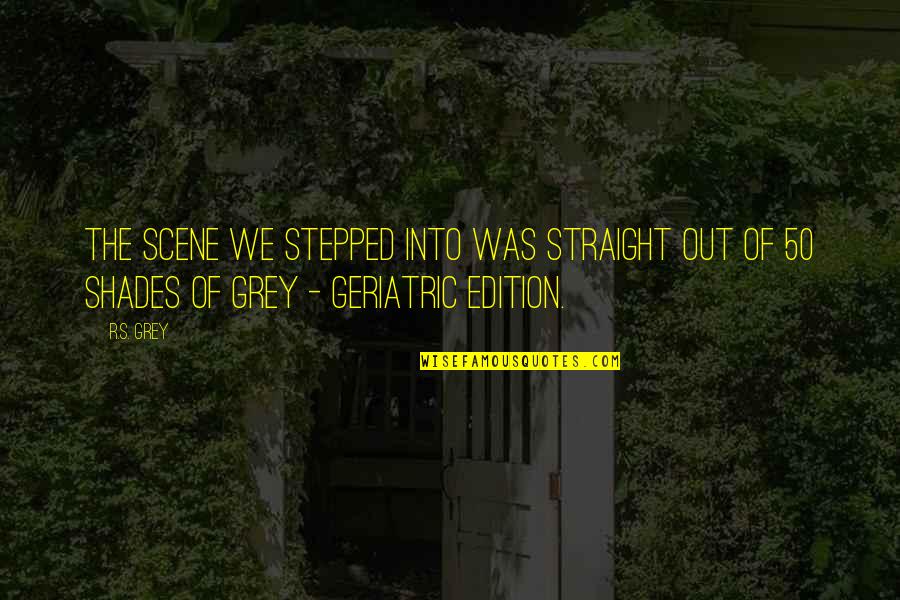 Best 50 Shades Of Grey Quotes By R.S. Grey: The scene we stepped into was straight out