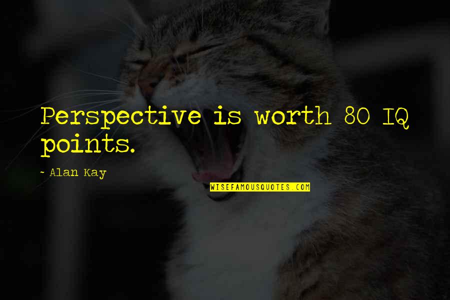 Best 80's Quotes By Alan Kay: Perspective is worth 80 IQ points.