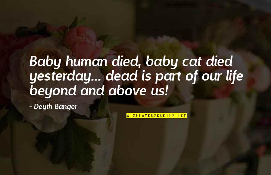 Best Above And Beyond Quotes By Deyth Banger: Baby human died, baby cat died yesterday... dead