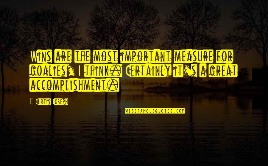Best Accomplishment Quotes By Curtis Joseph: Wins are the most important measure for goalies,