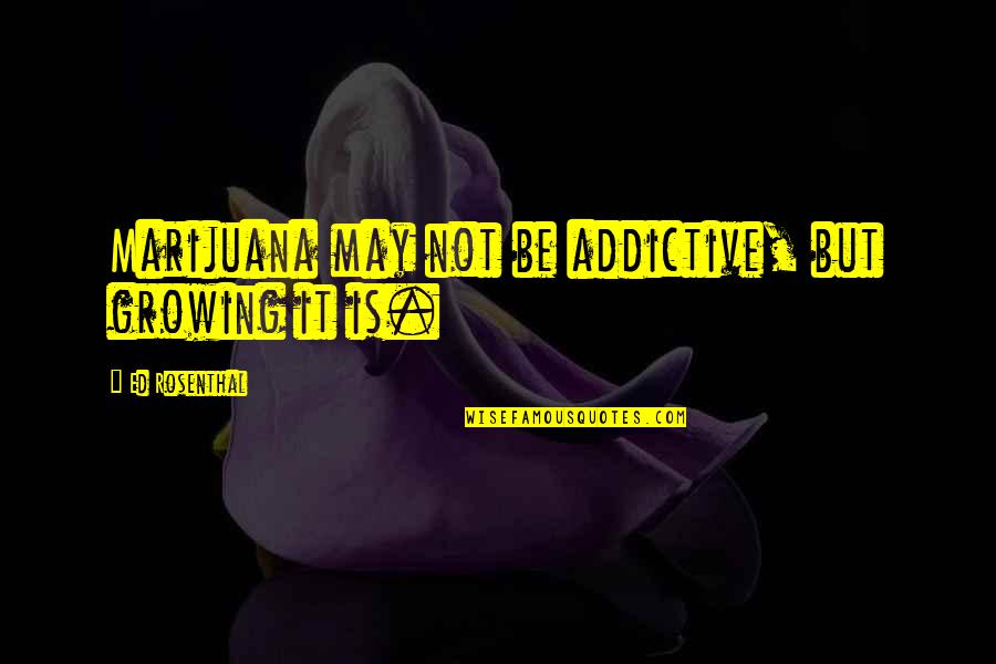 Best Addictive Quotes By Ed Rosenthal: Marijuana may not be addictive, but growing it