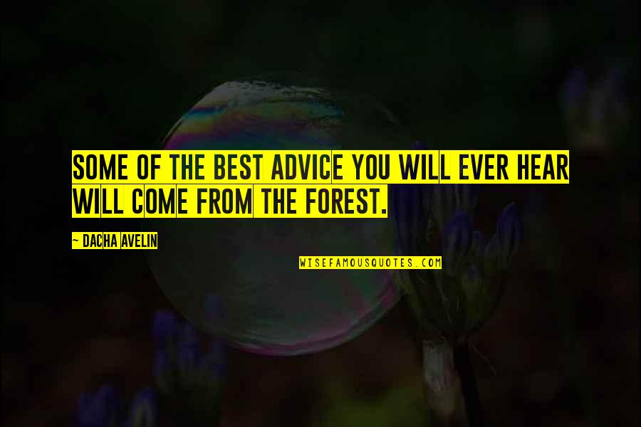 Best Advice Ever Quotes By Dacha Avelin: Some of the best advice you will ever
