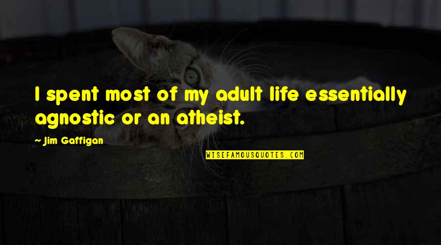 Best Agnostic Quotes By Jim Gaffigan: I spent most of my adult life essentially