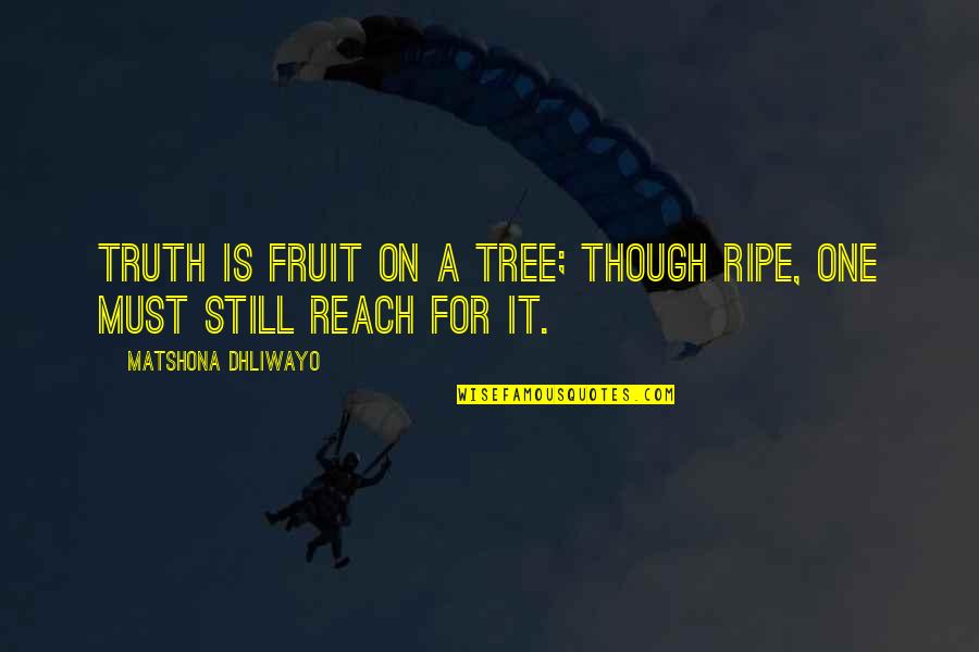 Best Airbender Quotes By Matshona Dhliwayo: Truth is fruit on a tree; though ripe,