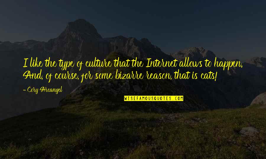 Best All Type Of Quotes By Cory Arcangel: I like the type of culture that the