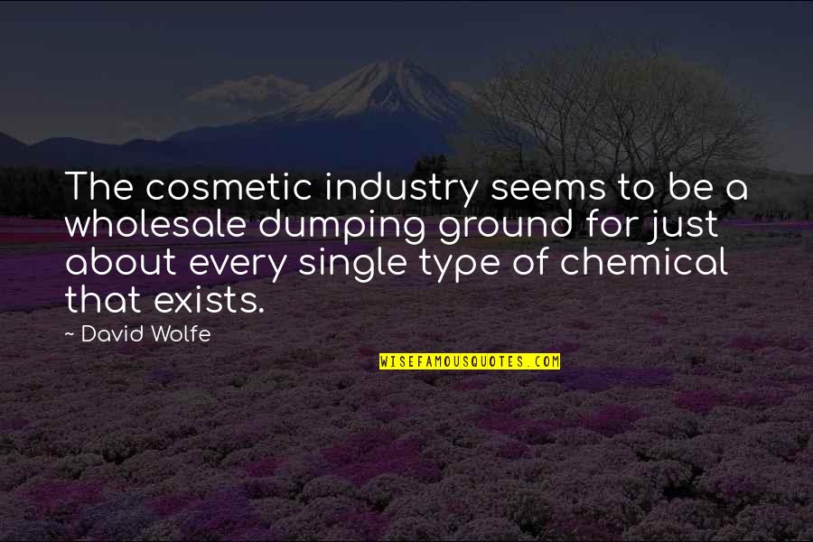 Best All Type Of Quotes By David Wolfe: The cosmetic industry seems to be a wholesale