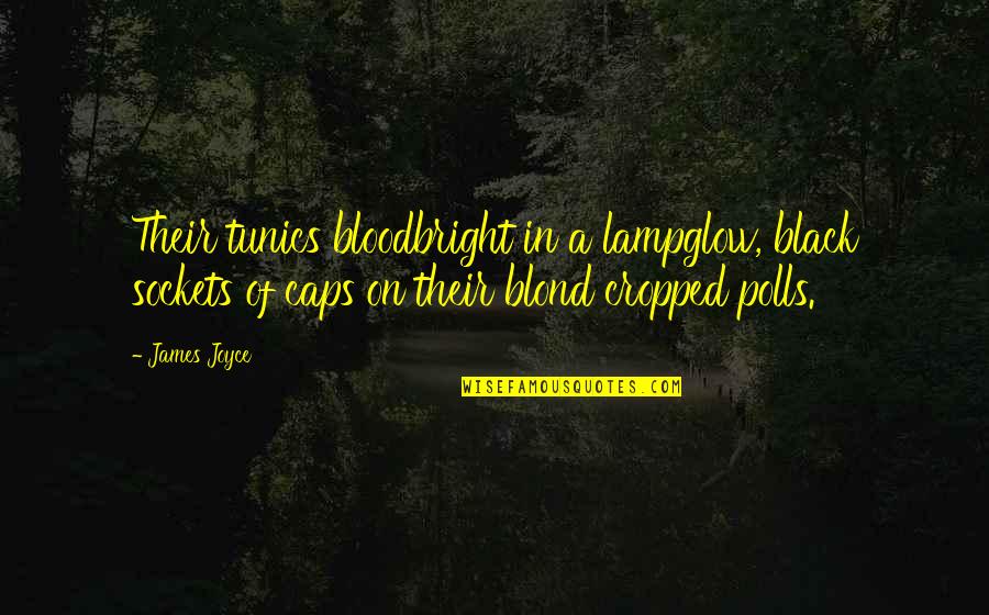 Best Ampere Quotes By James Joyce: Their tunics bloodbright in a lampglow, black sockets Best Ampere Quotes By James Joyce: Their tunics bloodbright in a lampglow, black sockets
