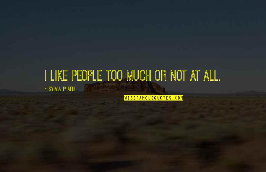 Best Anberlin Quotes By Sylvia Plath: I like people too much or not at