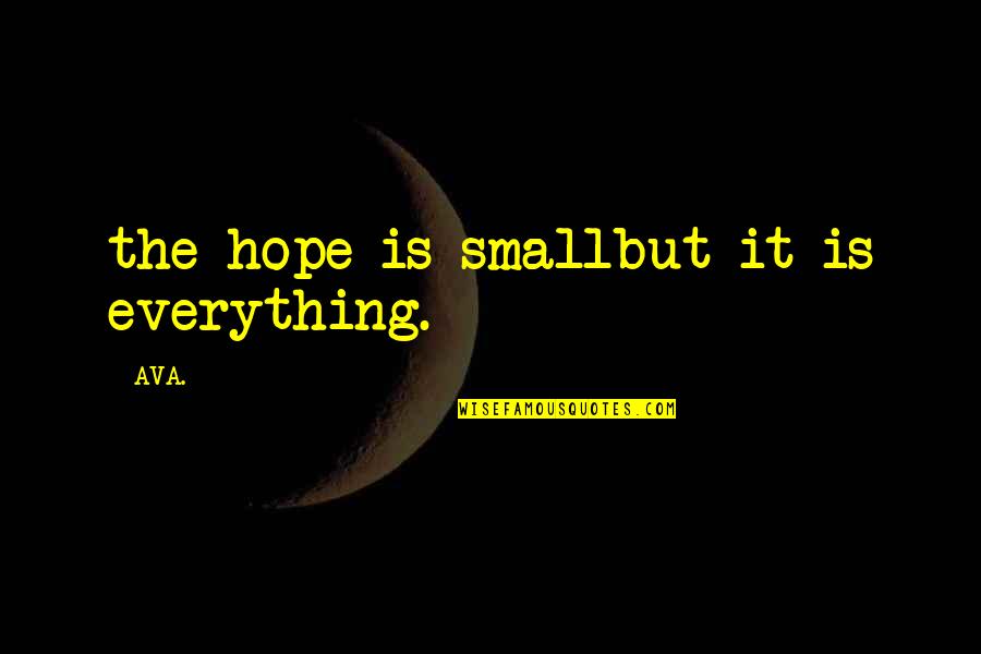 Best And Small Love Quotes By AVA.: the hope is smallbut it is everything.