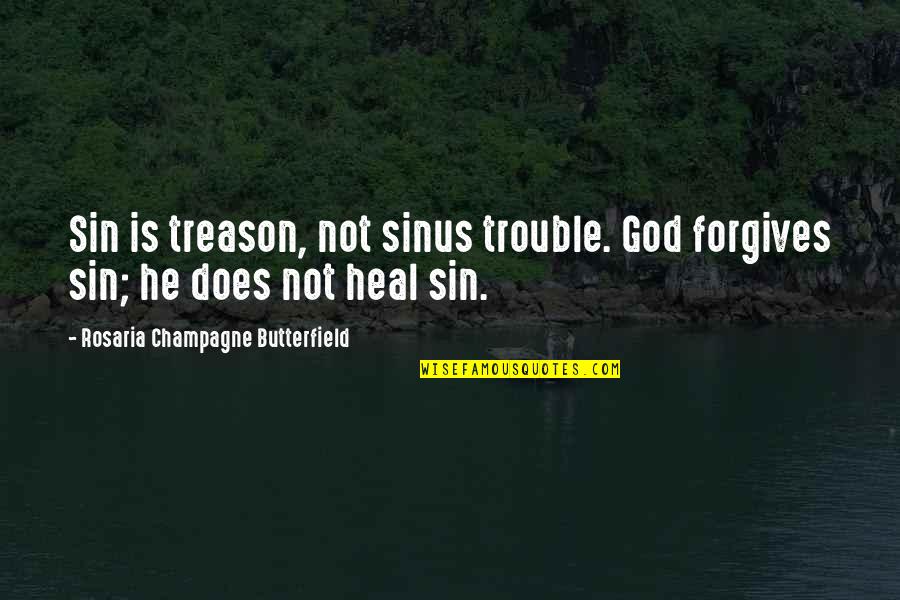 Best Antitheist Quotes By Rosaria Champagne Butterfield: Sin is treason, not sinus trouble. God forgives