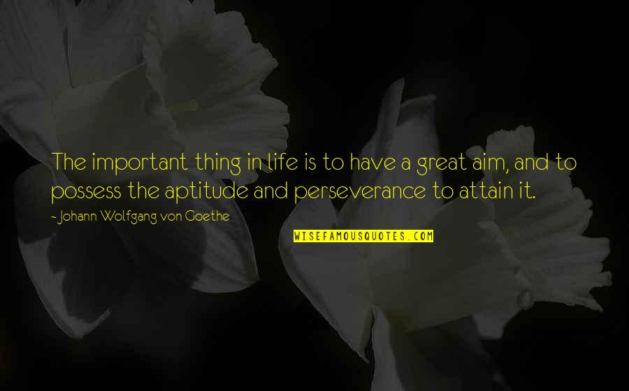 Best Aptitude Quotes By Johann Wolfgang Von Goethe: The important thing in life is to have