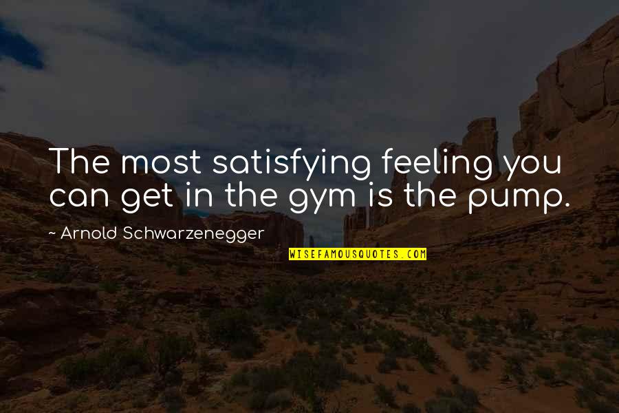 Best Arnold Gym Quotes By Arnold Schwarzenegger: The most satisfying feeling you can get in