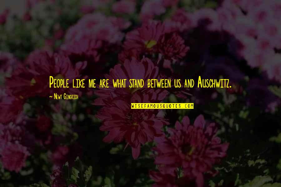 Best Auschwitz Quotes By Newt Gingrich: People like me are what stand between us Best Auschwitz Quotes By Newt Gingrich: People like me are what stand between us