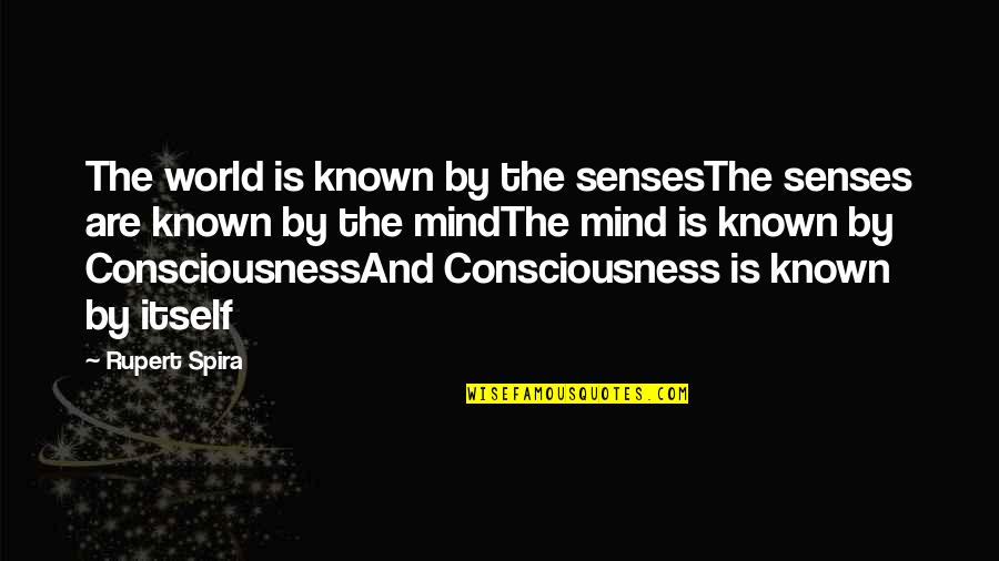 Best Babysitter Quotes By Rupert Spira: The world is known by the sensesThe senses