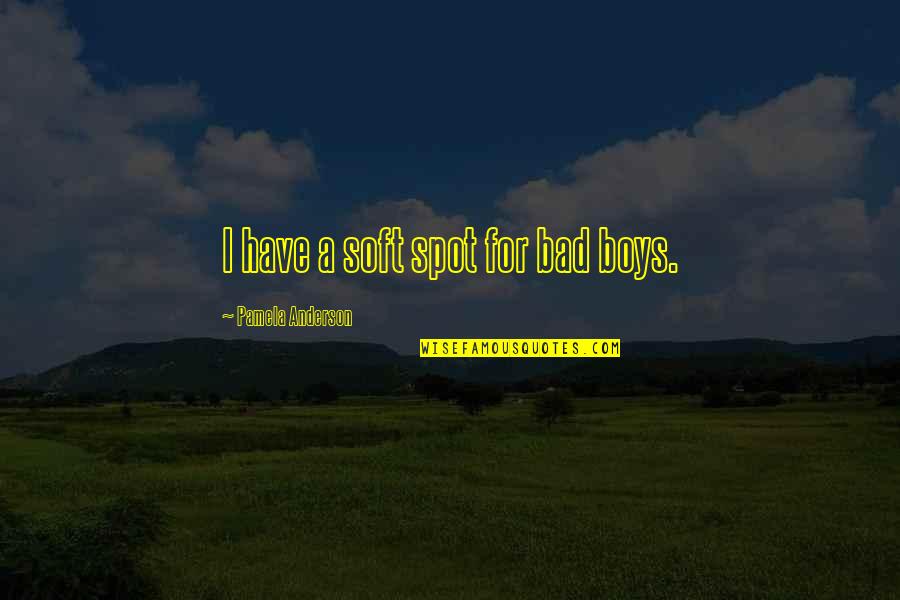 Best Bad Boy 2 Quotes By Pamela Anderson: I have a soft spot for bad boys. Best Bad Boy 2 Quotes By Pamela Anderson: I have a soft spot for bad boys.