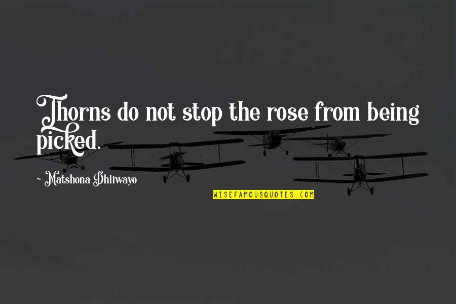 Best Beauty Quote Quotes By Matshona Dhliwayo: Thorns do not stop the rose from being