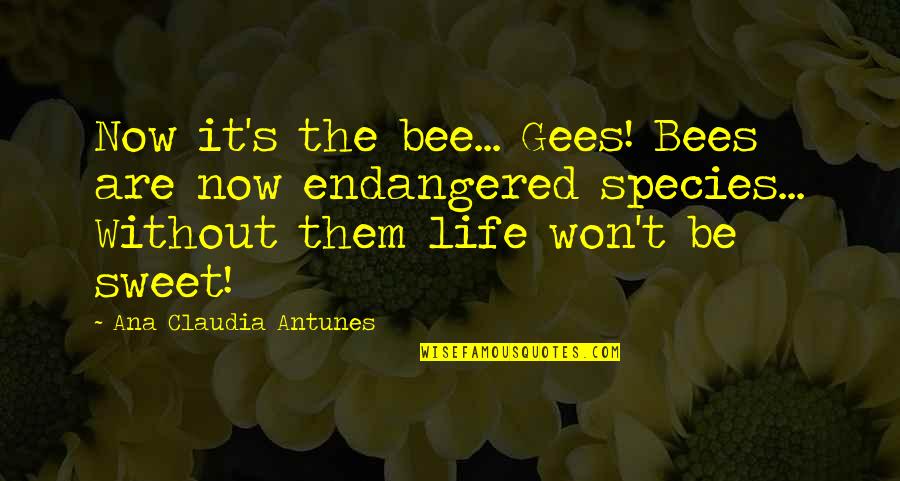 Best Bee Gees Quotes By Ana Claudia Antunes: Now it's the bee... Gees! Bees are now