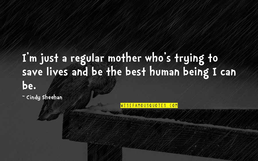 Best Being Human Quotes By Cindy Sheehan: I'm just a regular mother who's trying to
