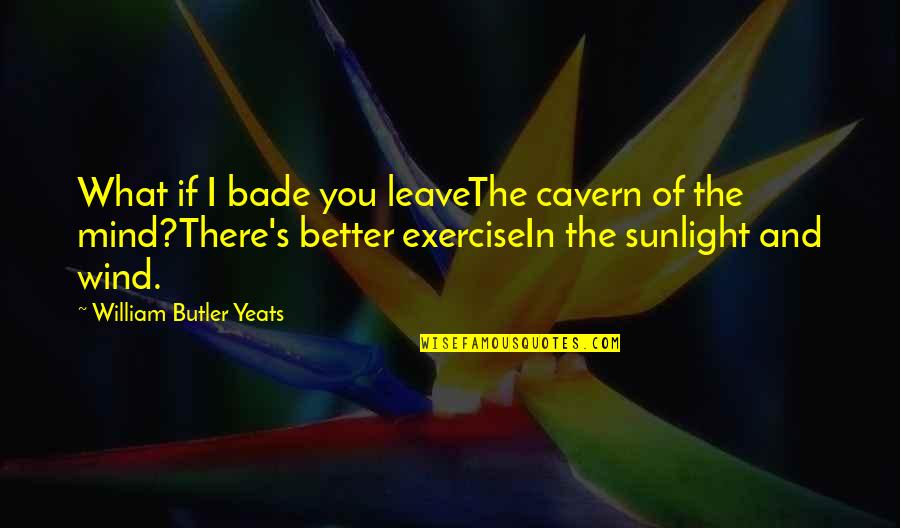 Best Benvolio Quotes By William Butler Yeats: What if I bade you leaveThe cavern of